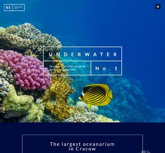 splash home underwater